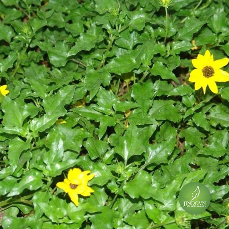Hộ Kinh Doanh Bánh phu thê Minh Thu